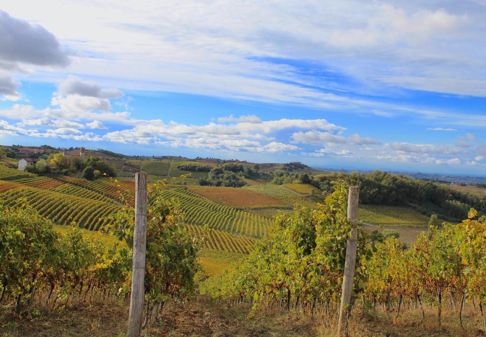 Amazing Langhe And Monferrato | House With Garden Villa Calamandrana Kültér fotó